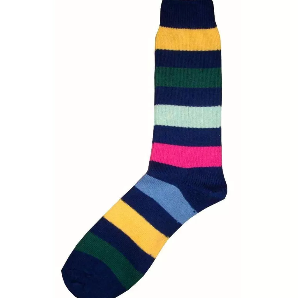 Bassin and Brown Men's Socks^Navy Multi Stripe Socks