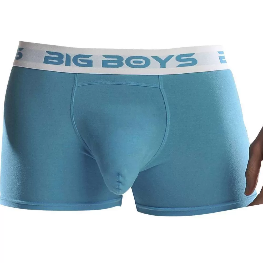 Big Boys Men's Underwear^Blue Boxer Briefs