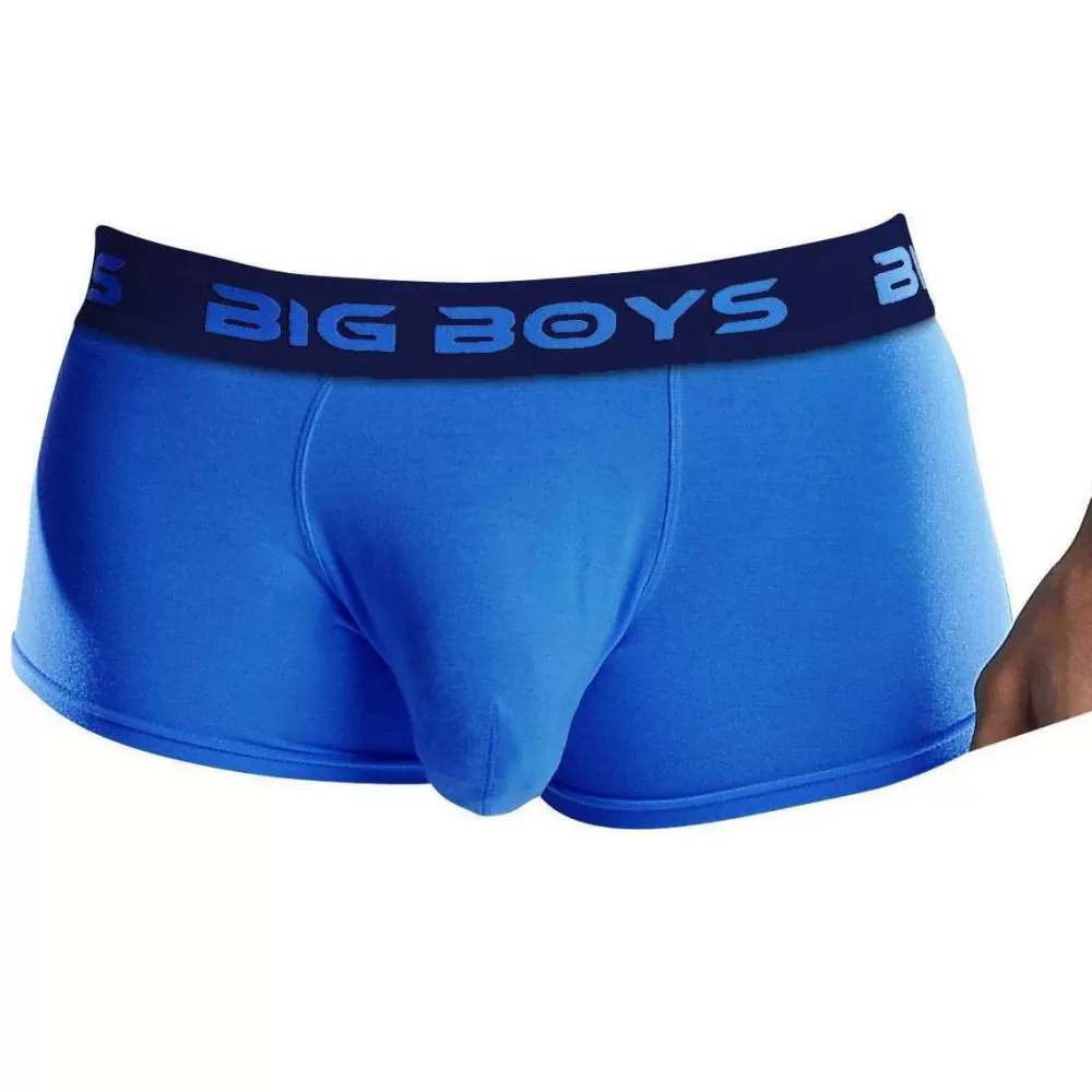 Big Boys Men's Underwear^Blue Low Rise Briefs