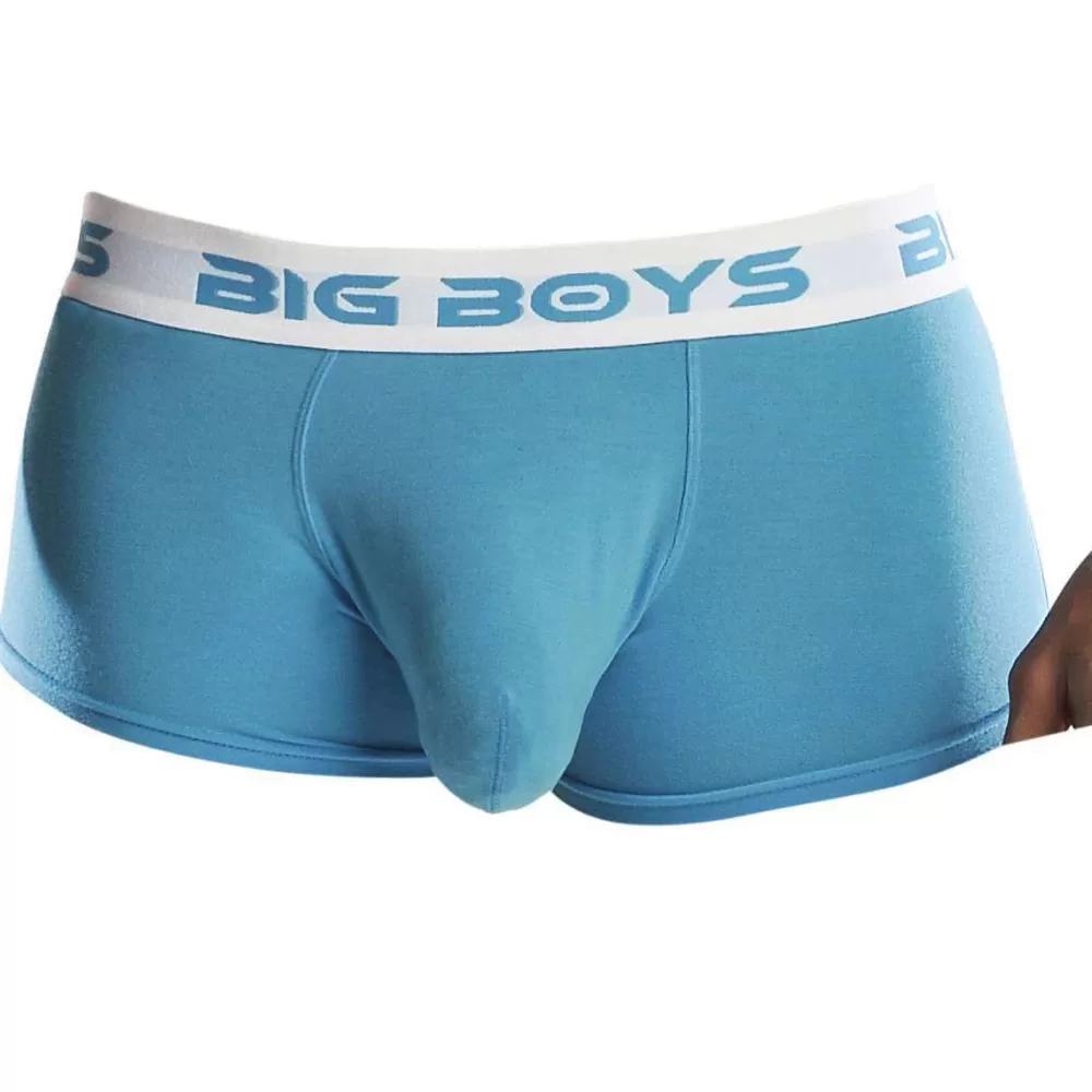 Big Boys Men's Underwear^Blue Low Rise Briefs