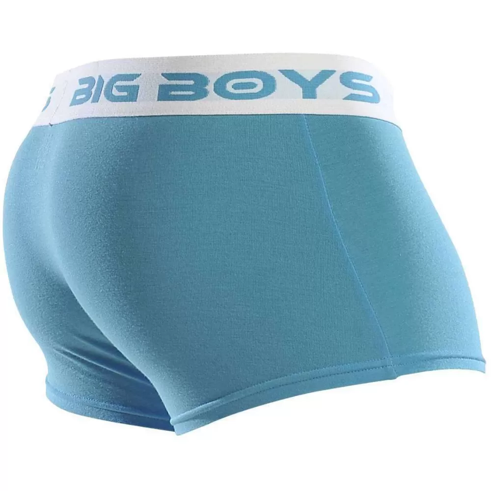 Big Boys Men's Underwear^Blue Low Rise Briefs