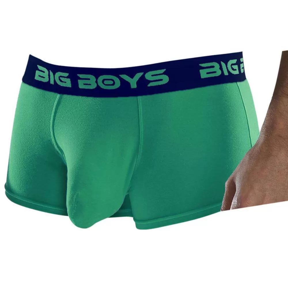 Big Boys Men's Underwear^Green Low Rise Briefs