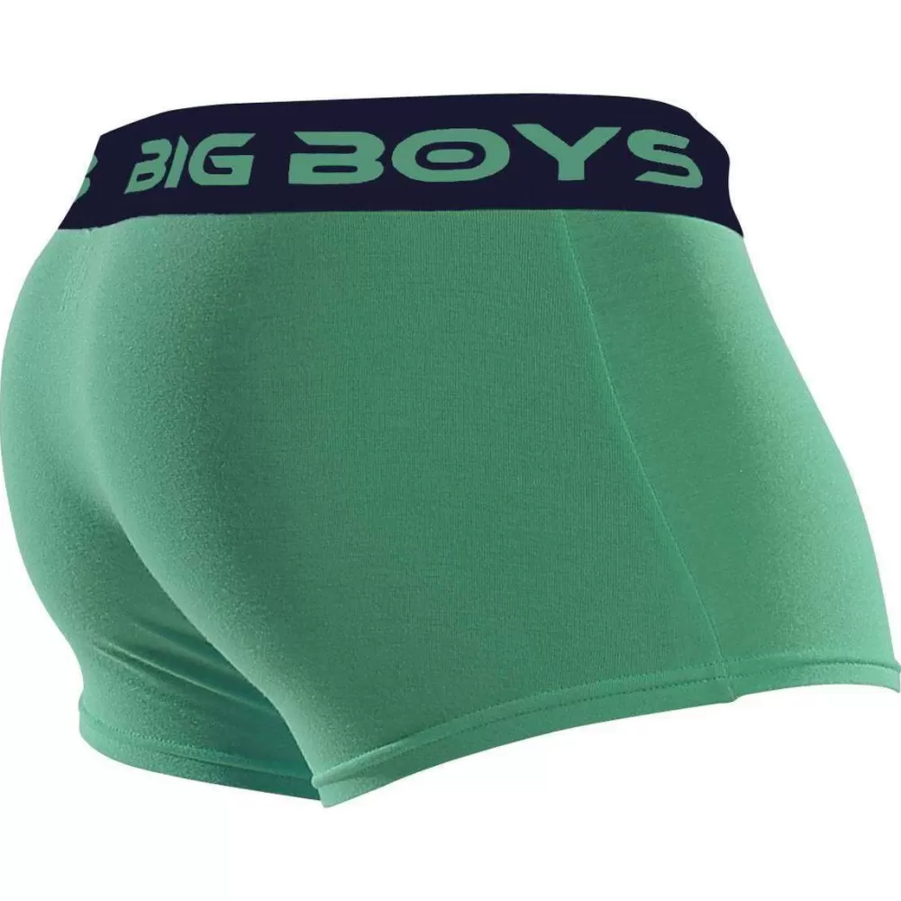 Big Boys Men's Underwear^Green Low Rise Briefs