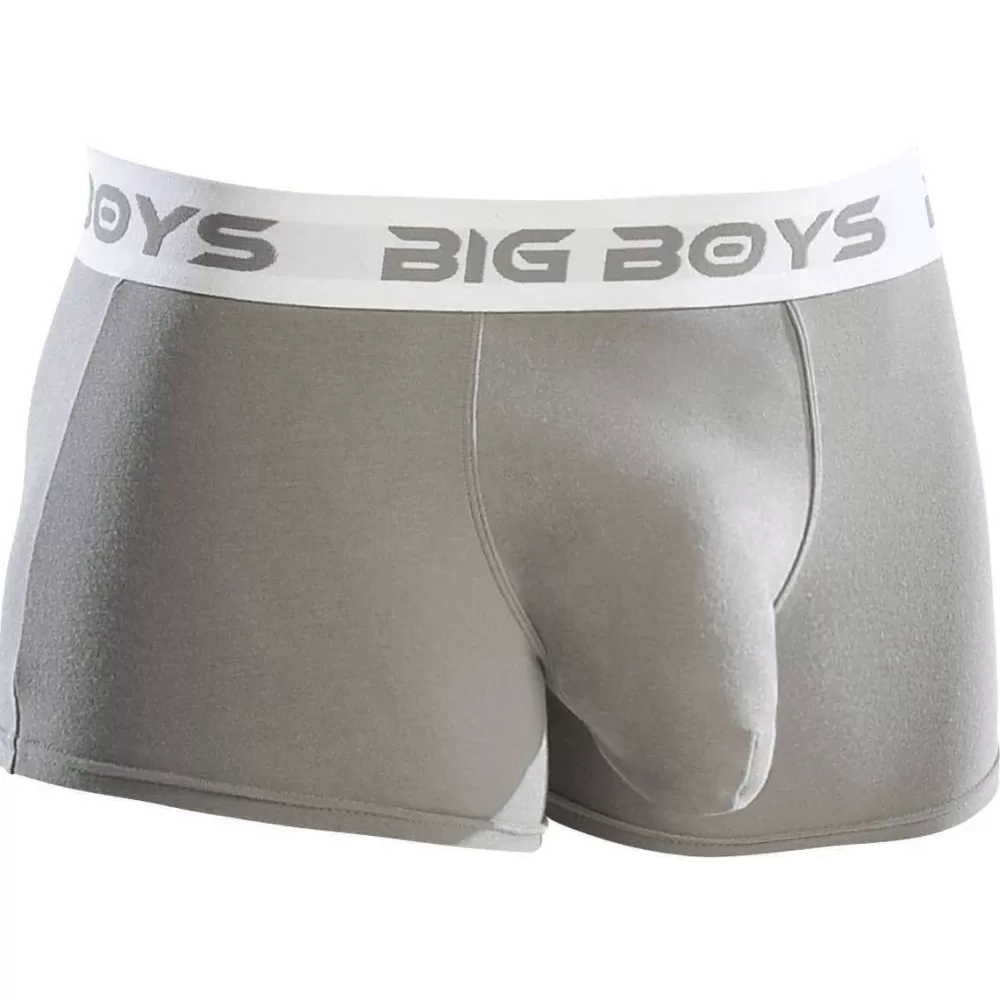 Big Boys Men's Underwear^Grey Low Rise Briefs