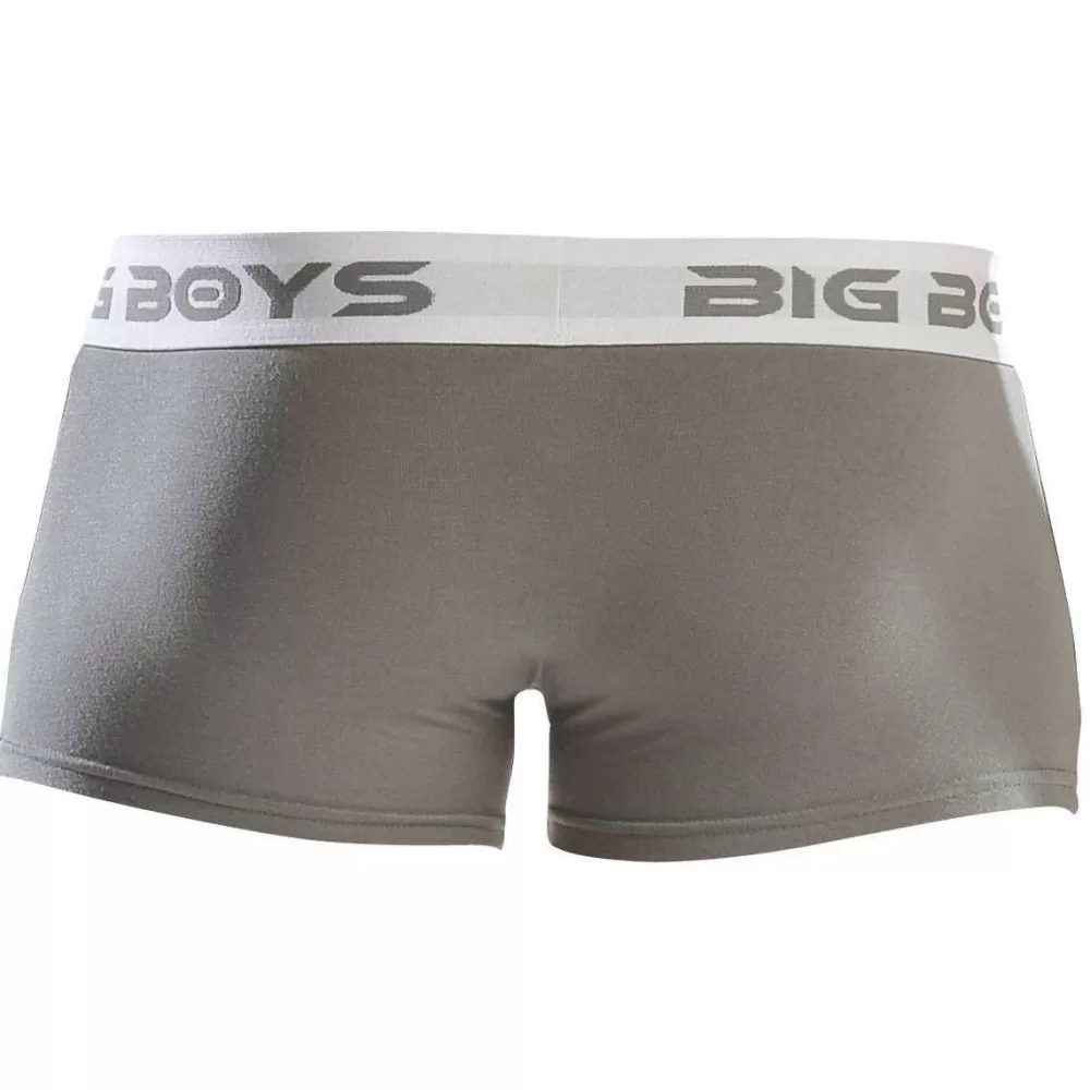 Big Boys Men's Underwear^Grey Low Rise Briefs