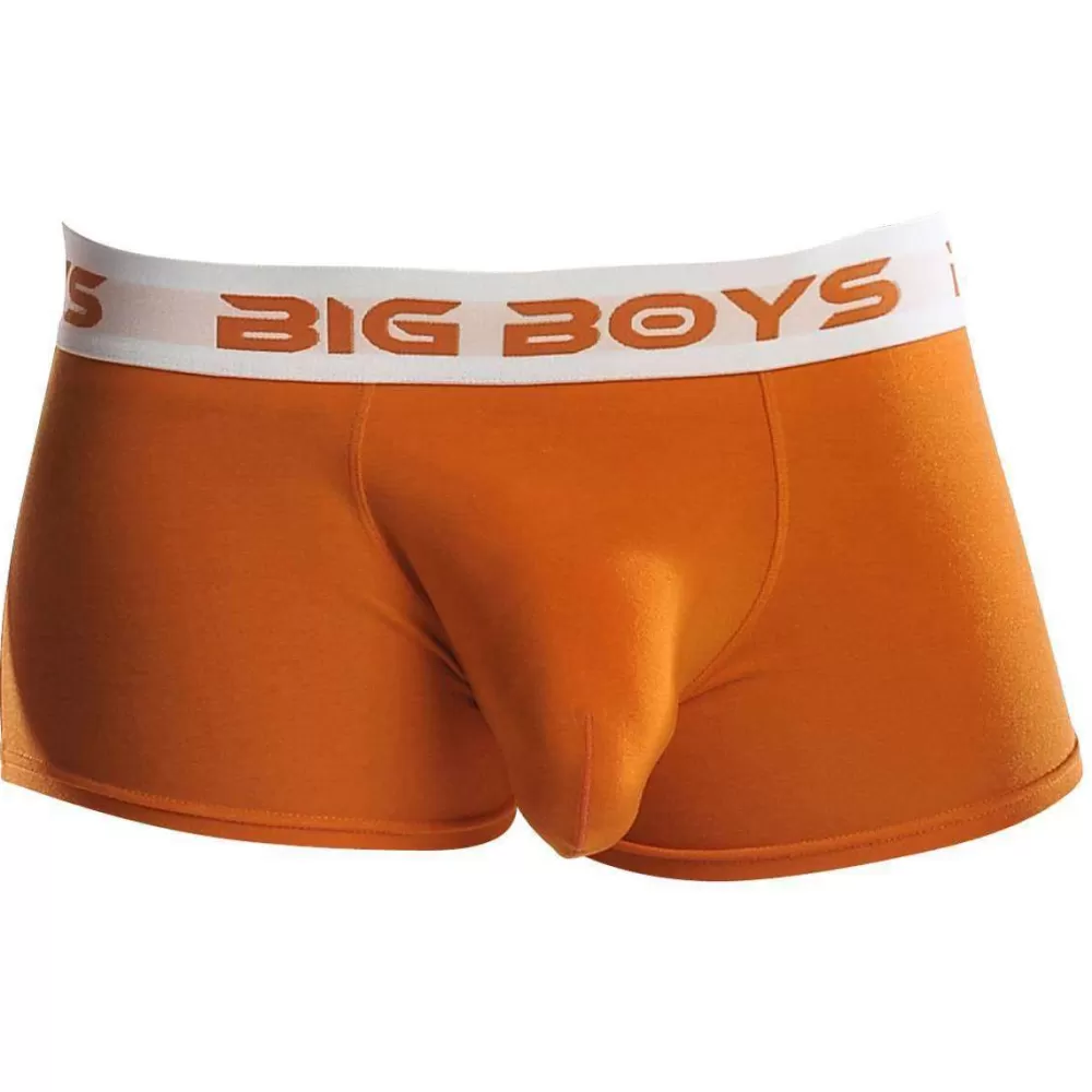 Big Boys Men's Underwear^Orange Low Rise Briefs