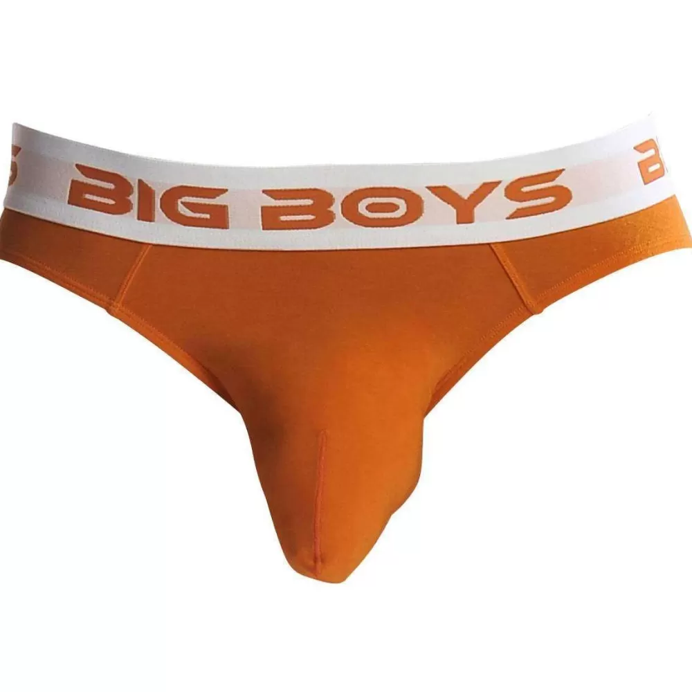 Big Boys Men's Underwear^Orange Mini Briefs