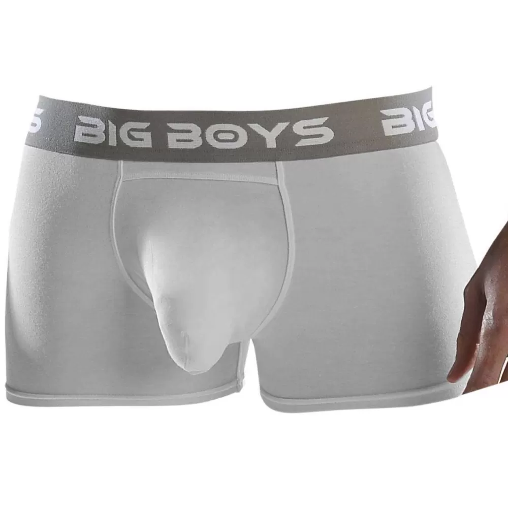 Big Boys Men's Underwear^White Boxer Briefs