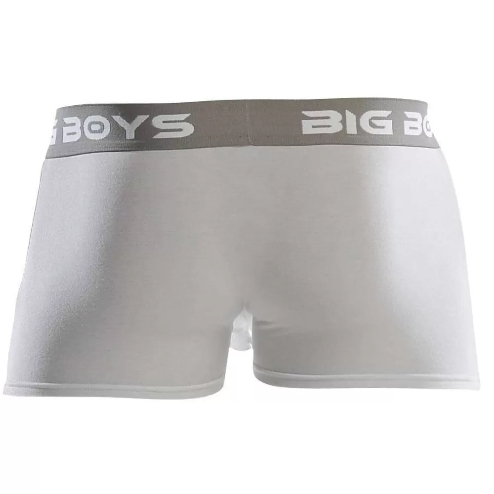 Big Boys Men's Underwear^White Boxer Briefs