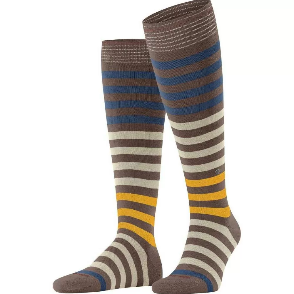 Burlington Men's Socks^Brown Blackpool Knee High Socks