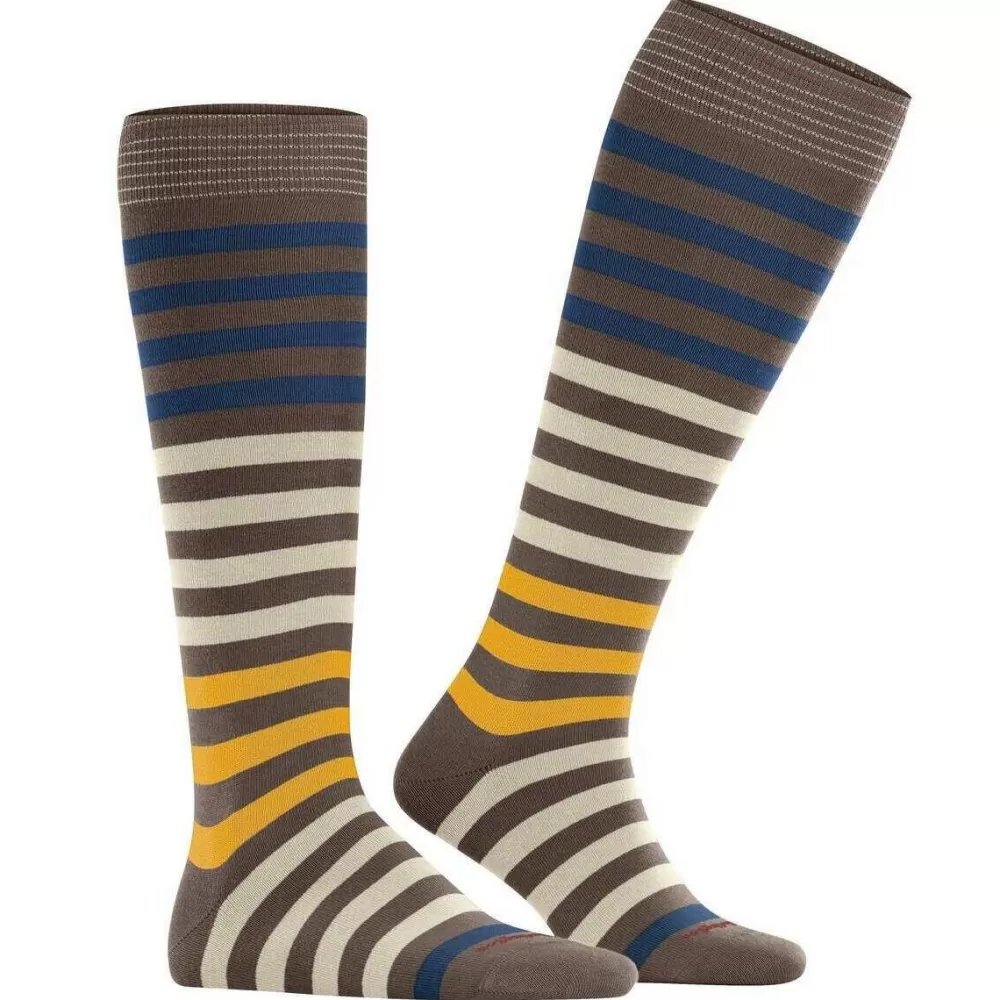 Burlington Men's Socks^Brown Blackpool Knee High Socks