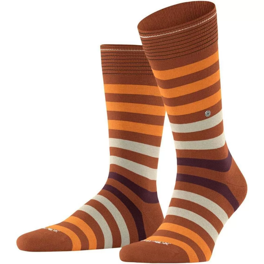 Burlington Men's Socks^Brown Blackpool Socks