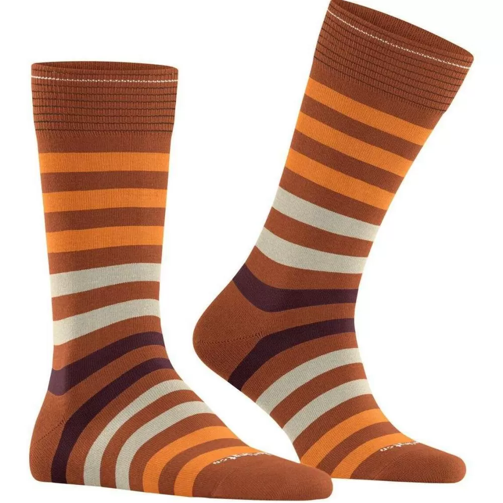Burlington Men's Socks^Brown Blackpool Socks