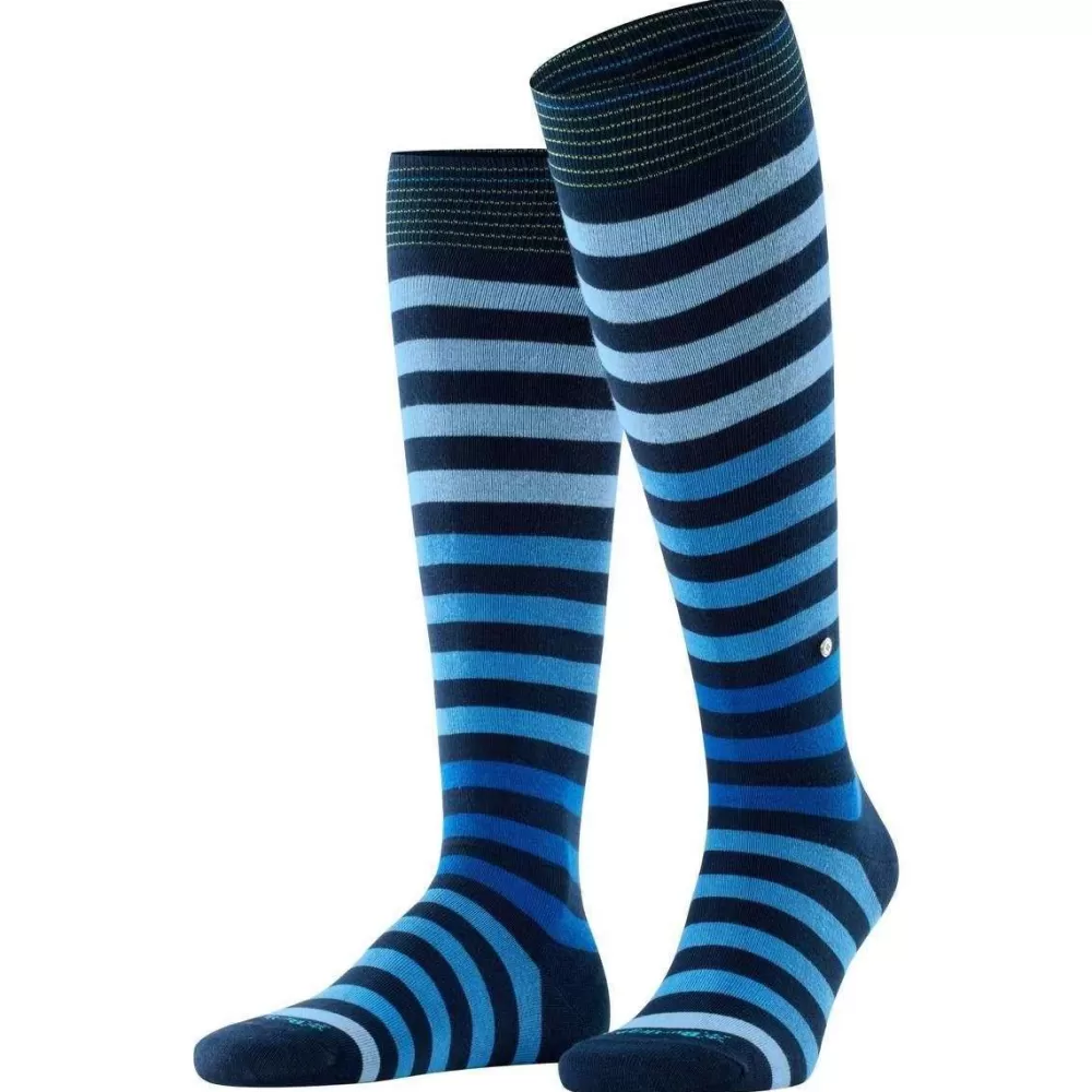 Burlington Men's Socks^Navy Blackpool Knee High Socks