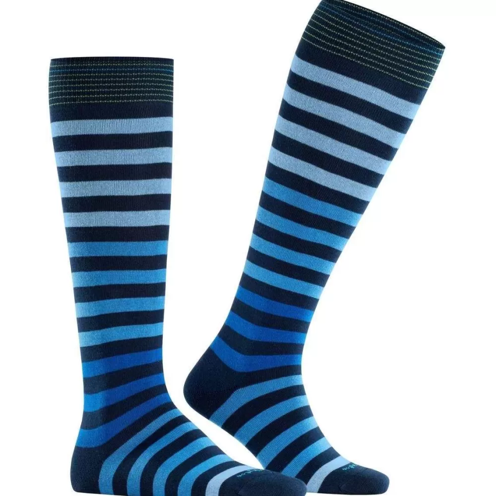 Burlington Men's Socks^Navy Blackpool Knee High Socks