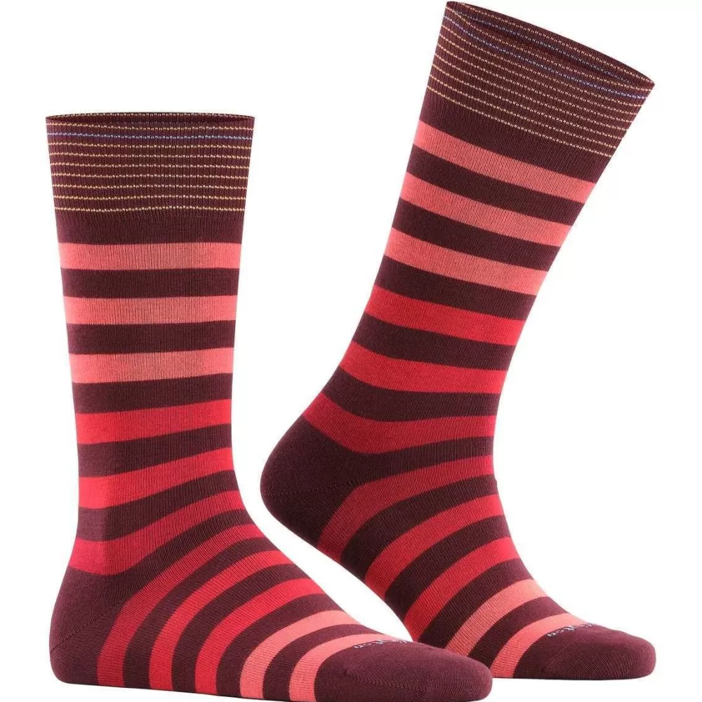 Burlington Men's Socks^Pink Blackpool Socks