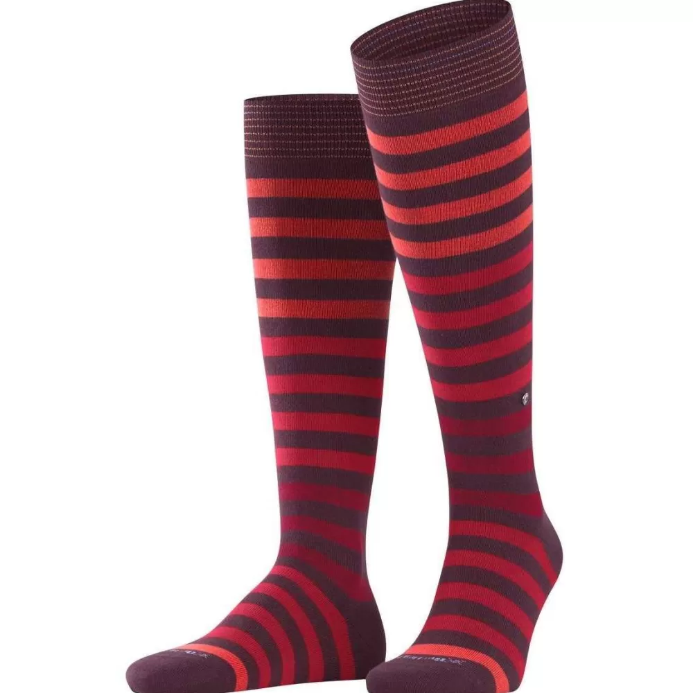 Burlington Men's Socks^Red Blackpool Knee High Socks